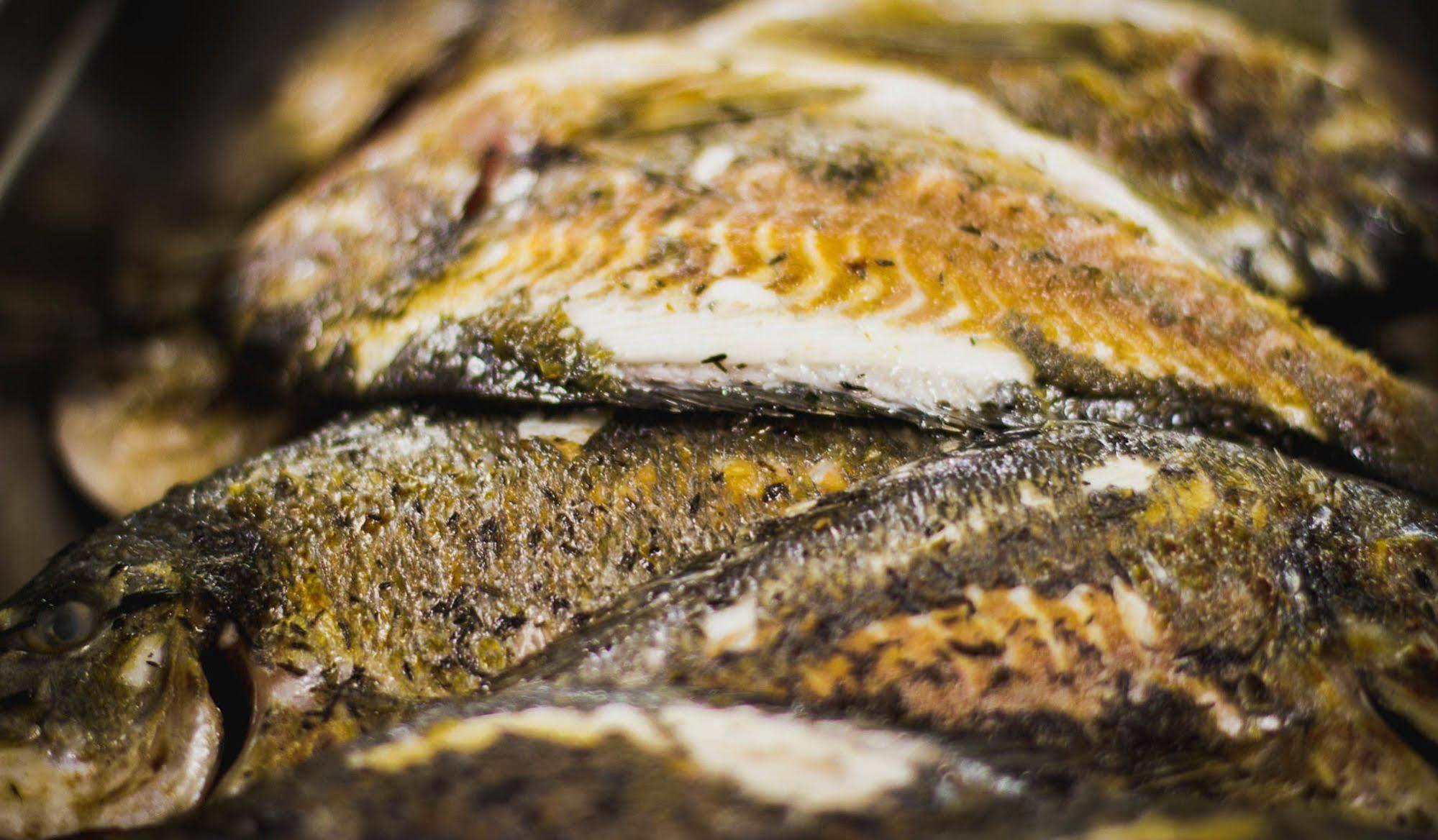 Logis Hotel Lons-Le-Saunier - Restaurant Le Grill 외부 사진